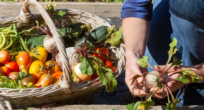 cinq-conseils-pour-un-potager-ideal-1