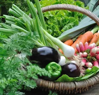 sommaire-produits-legumes-AdobeStock_101721139