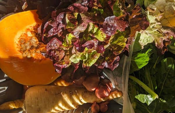 nos-véhicules-avec-nos-valeurs-l-humain-l-environnement-la-biodiversité-la-qualité