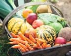 Wooden basket full of fresh, organic vegetables.