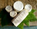 chevre 1