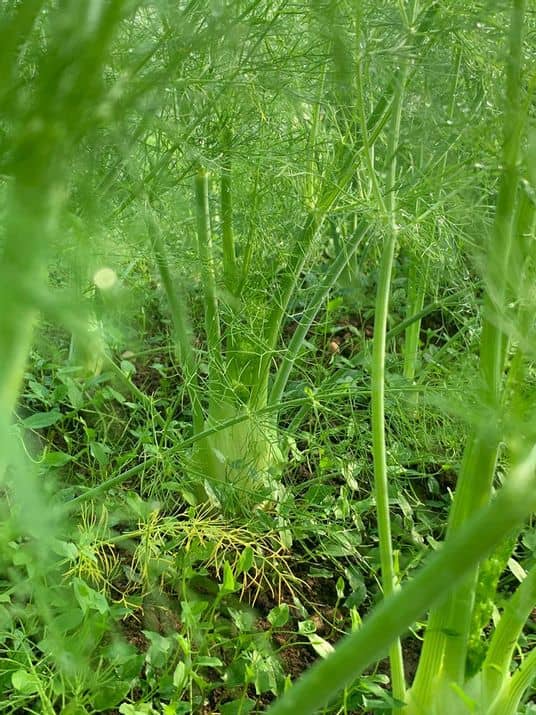 Image-test-aurelie-4