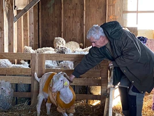 evenement chevre héloise 8