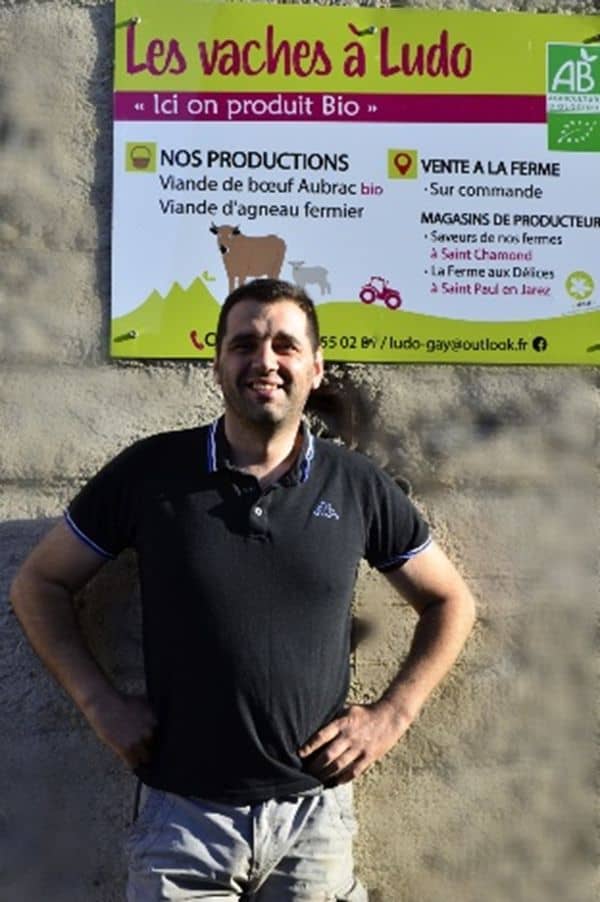 Les vaches à Ludo