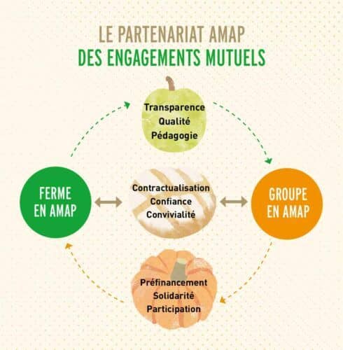 AMAP-3×3-Engagements-2-490×500