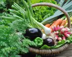 photo divers légumes