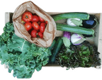 photo panier de légumes : tomates, courgettes, aubergines, concombres...