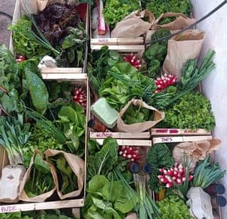 Paniers produits AMAP