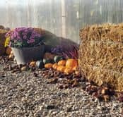 potager douroux 2