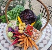 499603122_1067080348813105_7376000753983226163_n