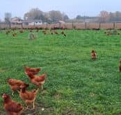 481250919_1012377917616682_6343827498665638763_n