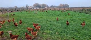 481250919_1012377917616682_6343827498665638763_n