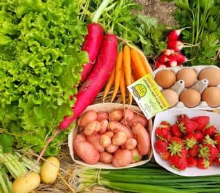 195177340_147655540747438_725195074109778994_n