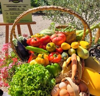 478631620_995365339317940_5648732614650147396_n