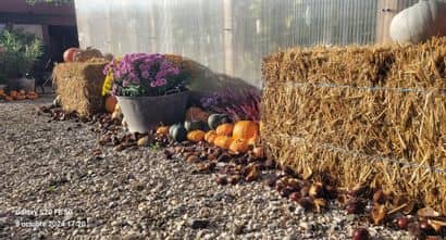 484880489_1020299240157883_8821166999171585735_n