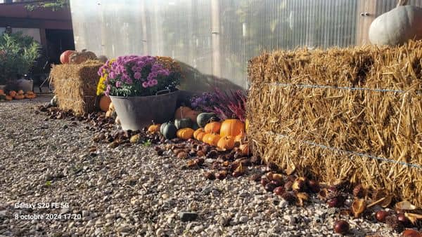 potager douroux 2