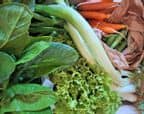 Légumes