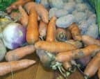 Légumes d’hiver