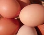 IMG_20230225_191324