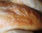 IMG_0341 (2)