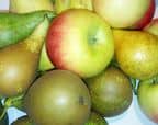 Fruits