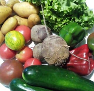 Légumes Amap 2020.09.22 (2)