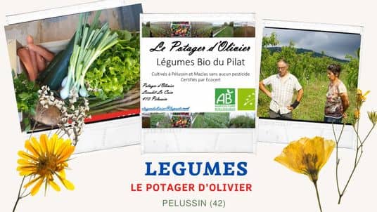 LEGUMES