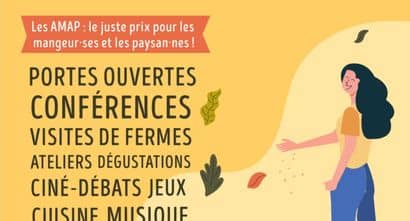 Affiche-AMAP-en-fetes-2025-725×1024