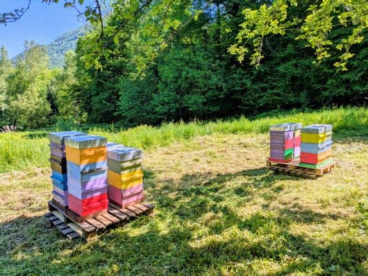 5480343b-3da3-4d0f-ab1c-f5cbd40e94c91