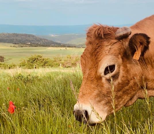 la-ferme-d-autrac-5806-1602052070
