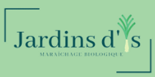 Capture d&rsquo;écran 2026-02-01 135623