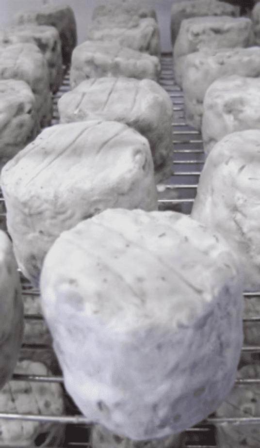 Capture d’écran 2026-02-19 195749