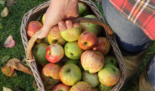 Capture d’écran 2026-02-20 204755