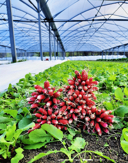 Capture d’écran 2026-02-21 183251