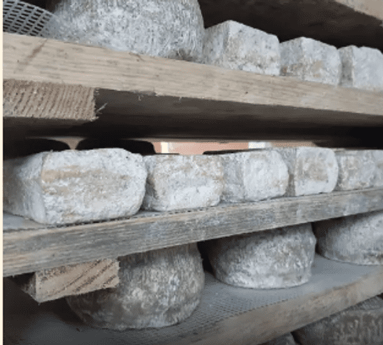 Capture d’écran 2026-02-21 190831