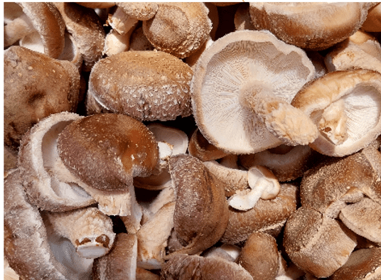 Capture d’écran 2026-02-21 201923