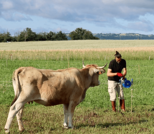 Capture d’écran 2026-02-22 165903