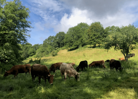 Capture d’écran 2026-02-22 165229