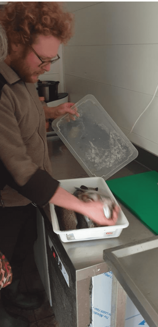 Capture d’écran 2026-02-22 185259