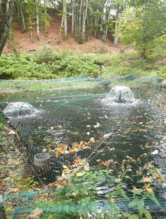 Capture d’écran 2026-02-22 185213