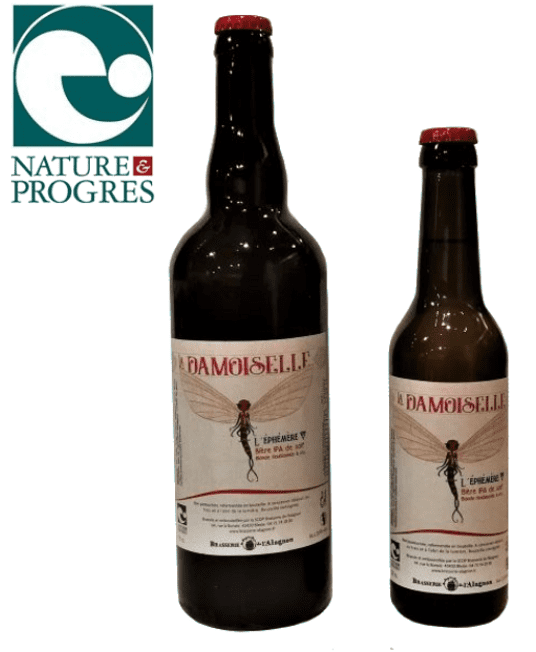 Capture d’écran 2026-02-23 200215