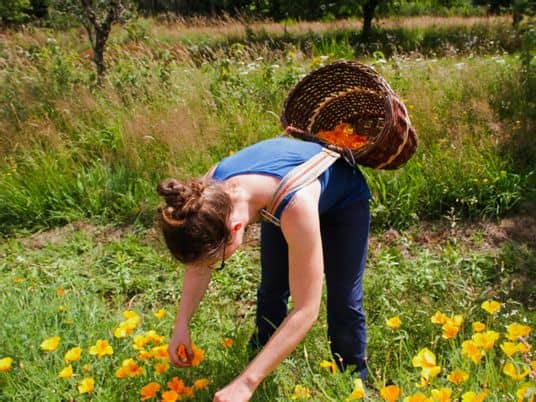 re¦ücolte-fleurs-scaled