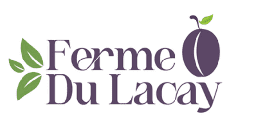 Capture d’écran 2026-02-28 184926