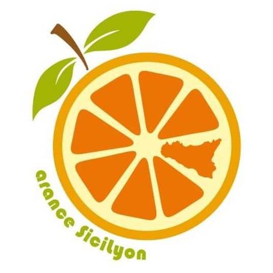 305571048_495795859218172_5563923779744251521_n