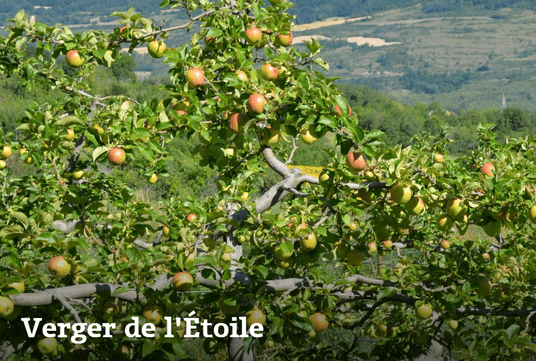 Capture d’écran 2026-03-01 201859