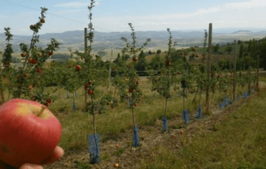 Capture d’écran 2026-03-01 201944