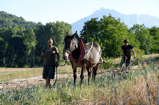 Capture d’écran du 2026-02-08 15-16-20