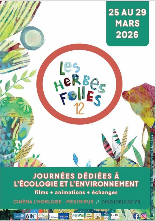 Festival HF 2026