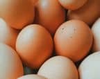 Oeufs1